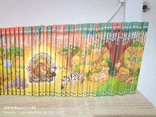 Colección libros infantiles "Animales Salvajes"