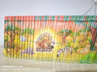 Colección libros infantiles "Animales Salvajes"