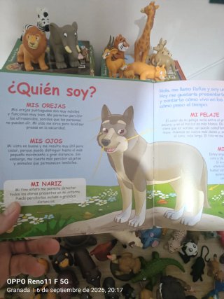 Colección libros infantiles "Animales Salvajes"