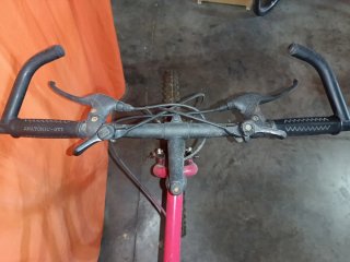 Bicicleta de Montaña Antigua