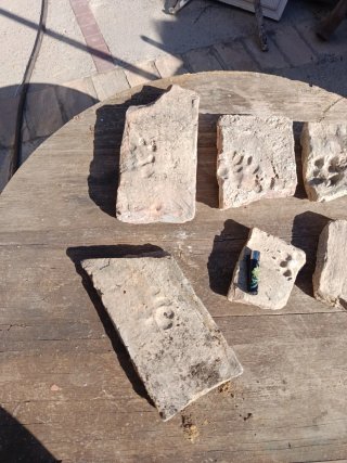 Ladrillos antiguos con huellas