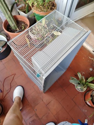 Jaula grande para mascotas