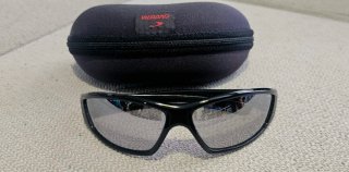 Gafas de sol Carrera C-TWO hombre