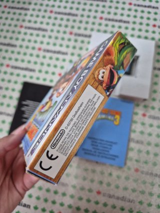 Donkey Kong Country 3 GBA