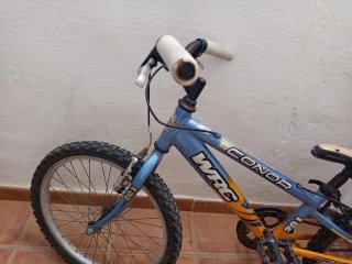 Bicicleta infantil 20 CONGA 201