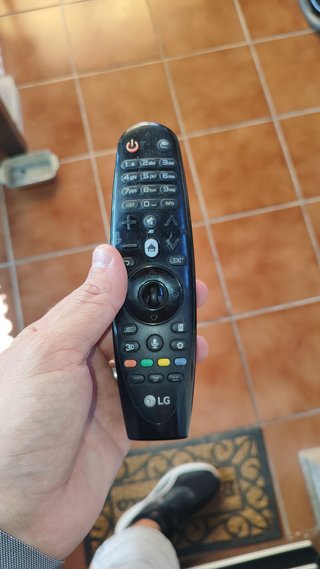 TV LG 55 + Magic Control