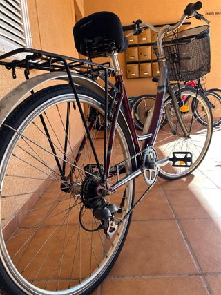 Bicicleta de paseo Panther