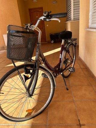 Bicicleta de paseo Panther