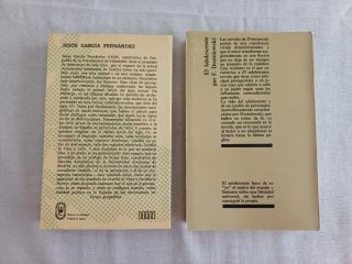 Lote de novelas