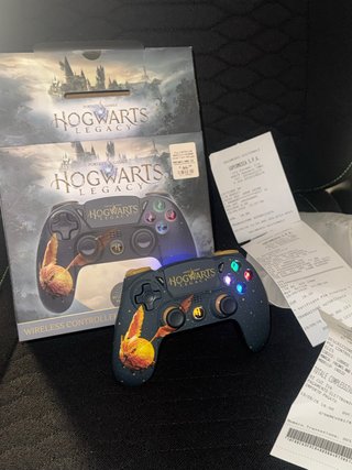 Controller PS4 Hogwarts Legacy