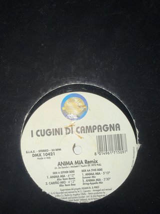 Lotto dischi in vinile dance dj