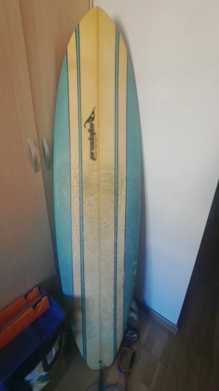 Tabla de surf evolutiva Predator. 7,2"