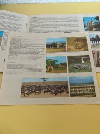 Álbum de cromos África: el mundo a través de sus