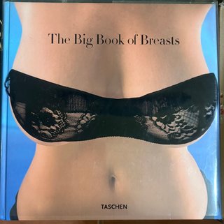The Big Book of Breasts