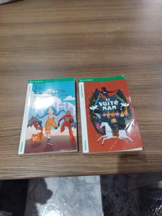 Lote 2 libros: Jo, Raquel Pris y El Vuitè Nan