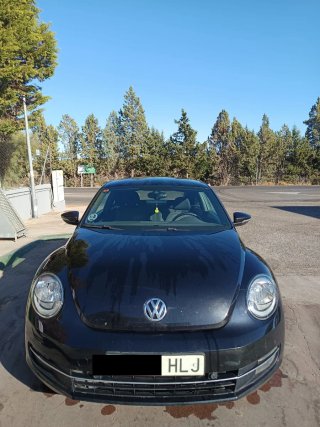 Volkswagen Beetle 2012