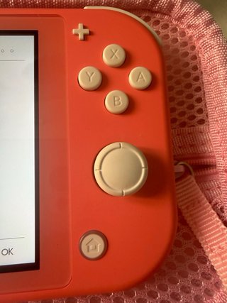 Nintendo Switch Lite Rosa + Funda