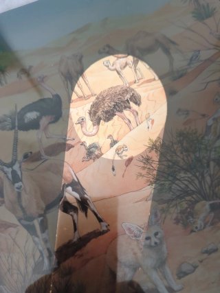 Libro con linterna animales salvajes