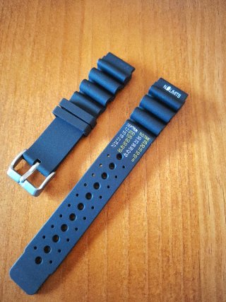 Correa Reloj Diver