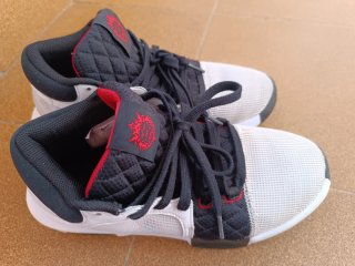 Zapatillas Nike LeBron Talla 41