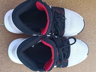 Zapatillas Nike LeBron Talla 41