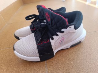 Zapatillas Nike LeBron Talla 41