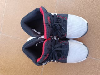 Zapatillas Nike LeBron Talla 41