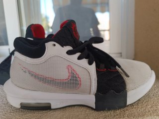 Zapatillas Nike LeBron Talla 41