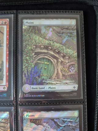 Lote tierras surge foil Magic The Gathering