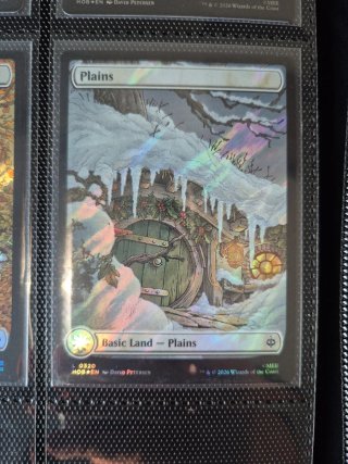 Lote tierras surge foil Magic The Gathering