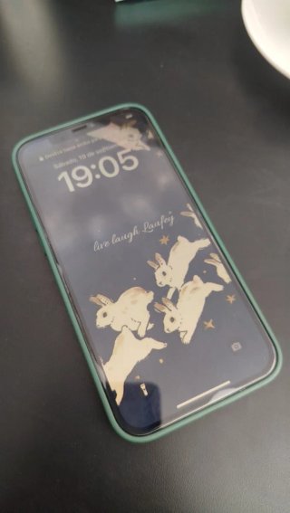 iPhone 12 Pro Max Gris Grafito