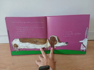 Libro infantil  El pequeño conejo blanco
