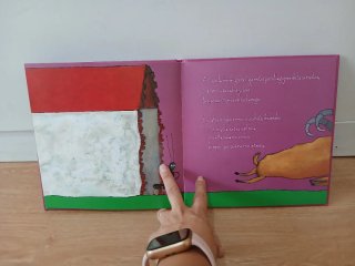Libro infantil  El pequeño conejo blanco