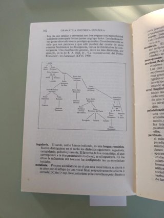 Curso de gramática histórica española