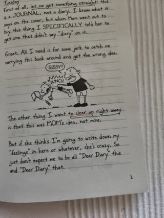 Diary Of A Wimpy Kid (Book 1) Special Disney + ...