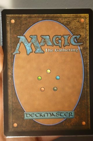 Nazgûl LTR EN U 0338 Carta Magic The Gathering