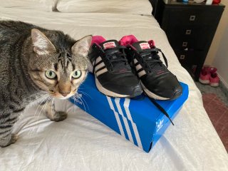 Zapatillas Adidas Negras y Rosas