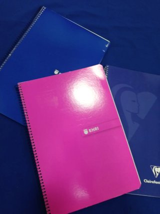 Libretas grandes cuadritos ENRI y Clairefontaine