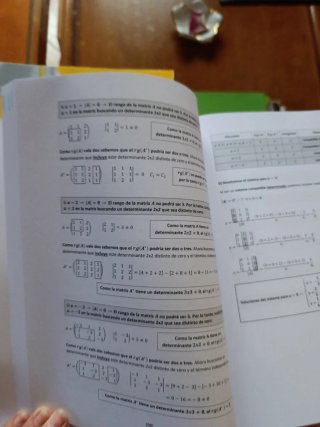Matemáticas aplicadas a las ciencias sociales II