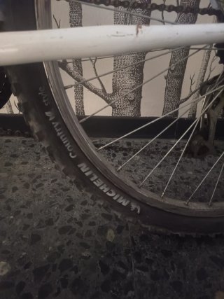 Bicicleta