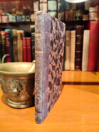 Libro antiguo 1883 Aventuras del Nuevo Robinson