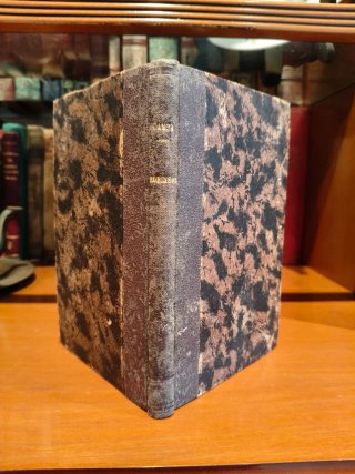 Libro antiguo 1883 Aventuras del Nuevo Robinson