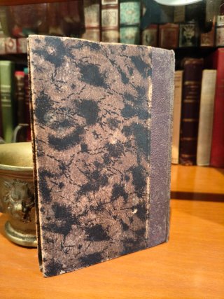 Libro antiguo 1883 Aventuras del Nuevo Robinson