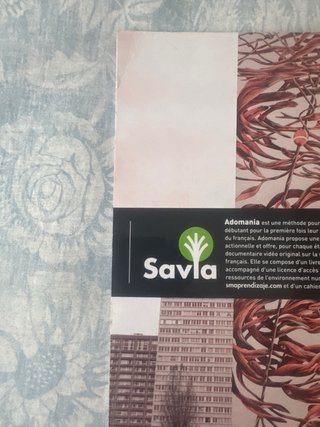 Adomania 3ESO Cahier d’activités 9788491825036 SM