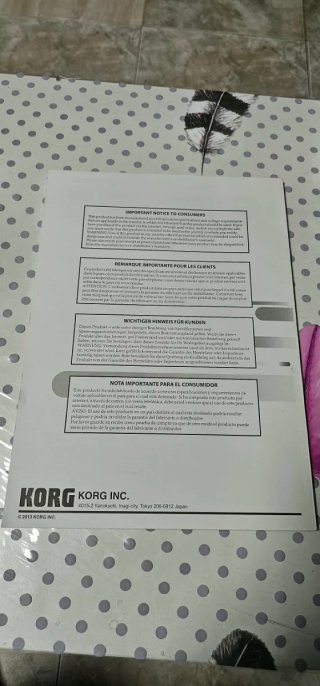 Manual Korg Kross Music Workstation Original