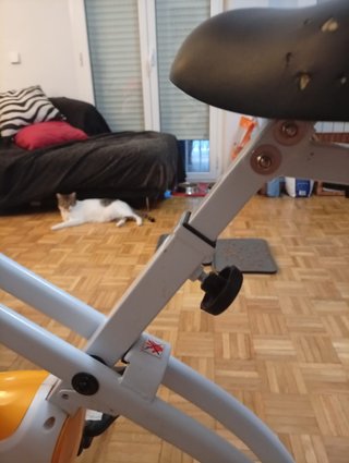 Bici Estática Ultrasport Plegable con Respaldo