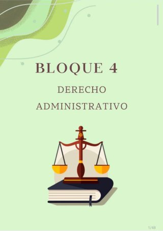Resumen sintetizado gace A2