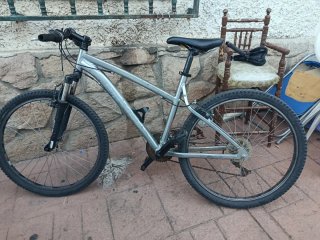 Bicicleta de montaña plateada