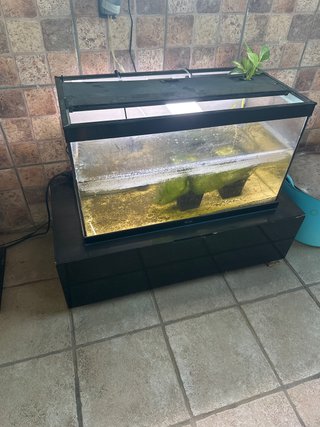 Acuario 140L con mueble incluido