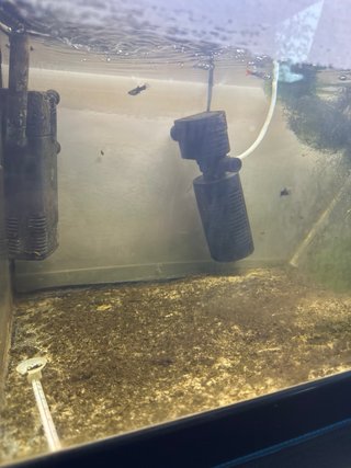 Acuario 140L con mueble incluido